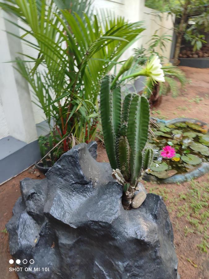Vyshnavi Home Stay Thanniyam Exterior foto